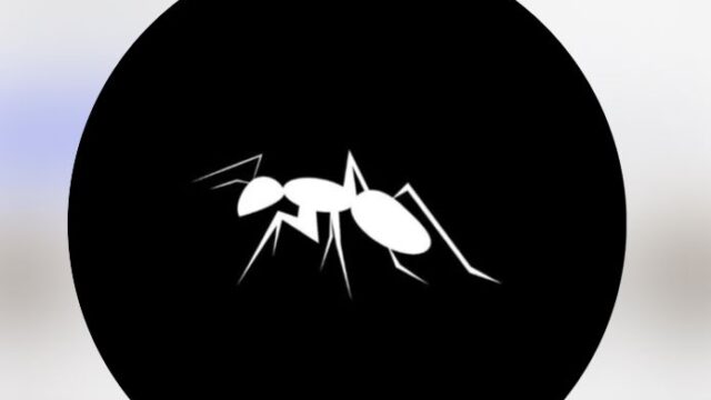 Hormiga Negra - Logo